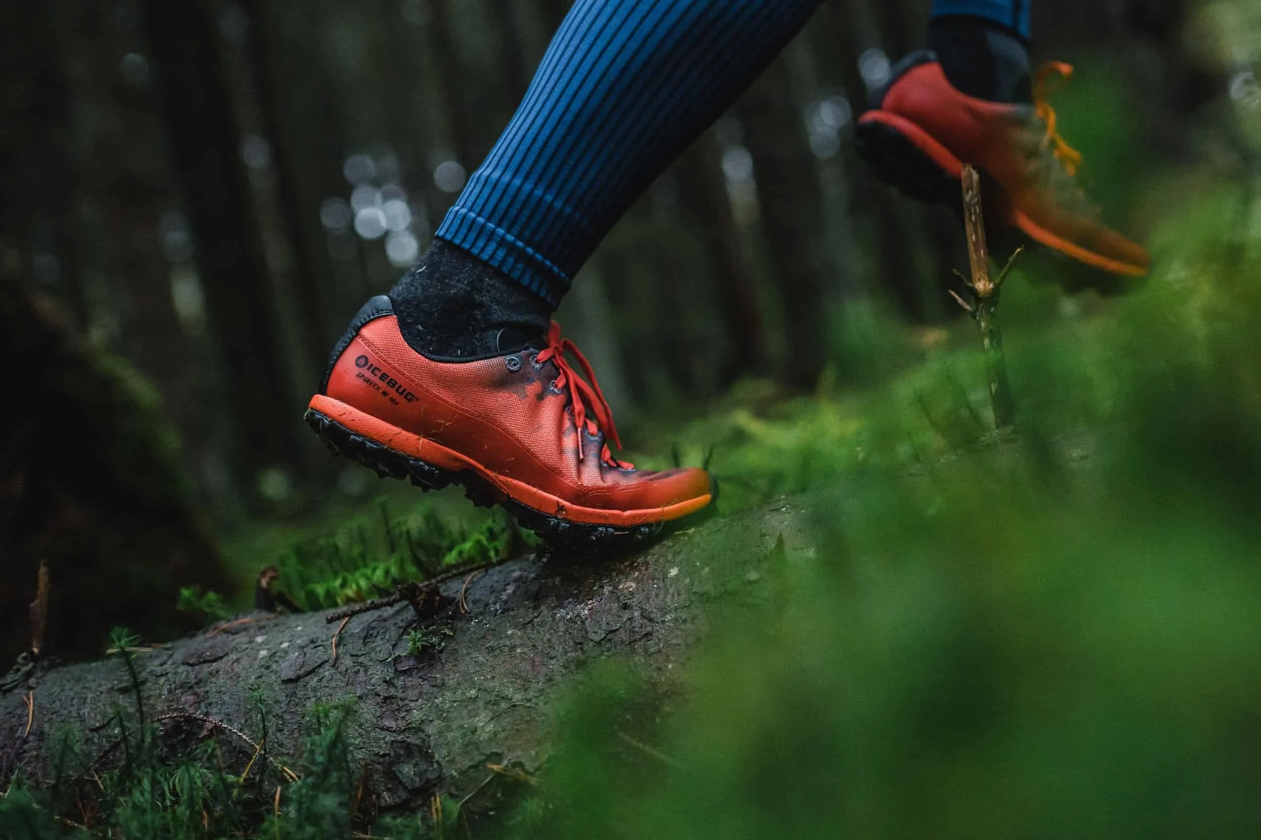 Feeling Lost? How Orienteering Can Help You Find Your Way - Explore ...
