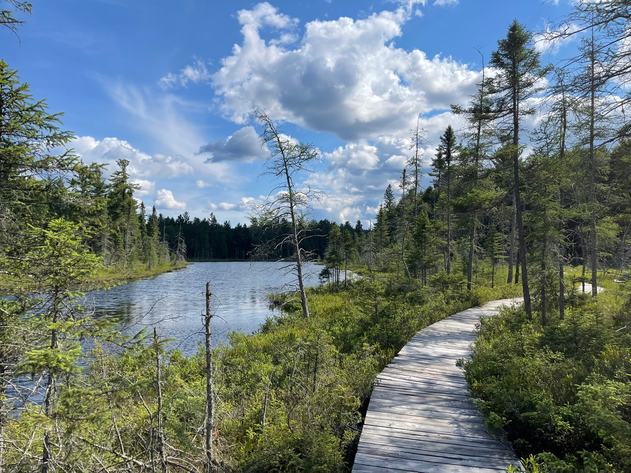 Mizzy Lake Trail