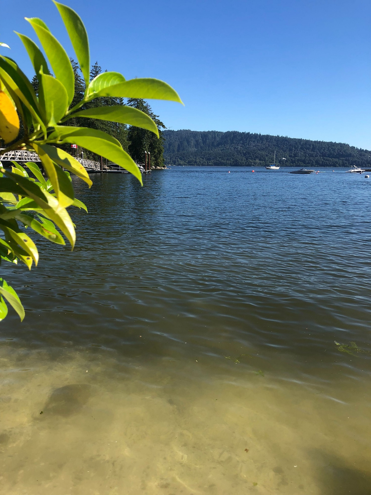 view from the beach