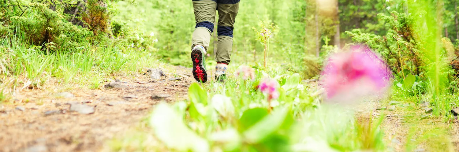 A person hikes on a trail with their pant legs tucked into their socks as a tick prevention method