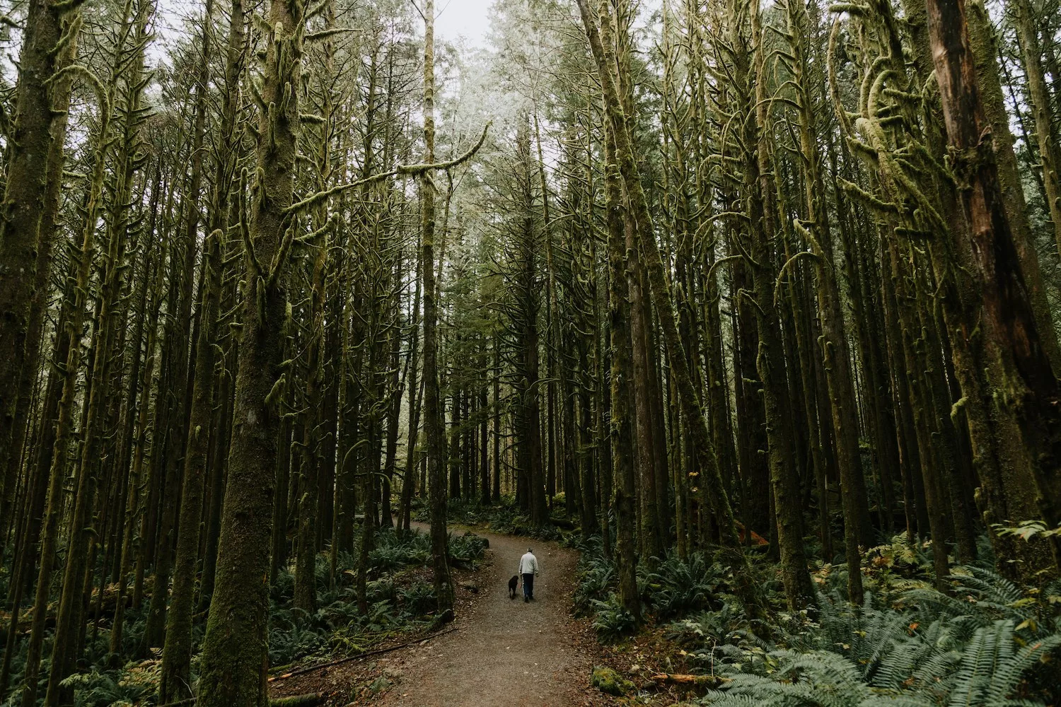 10 Hikes Accessible by Public Transit in BC’s Lower Mainland 
