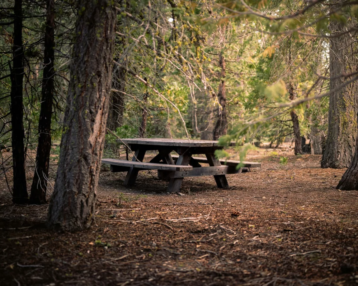 Picnic table at a campsite