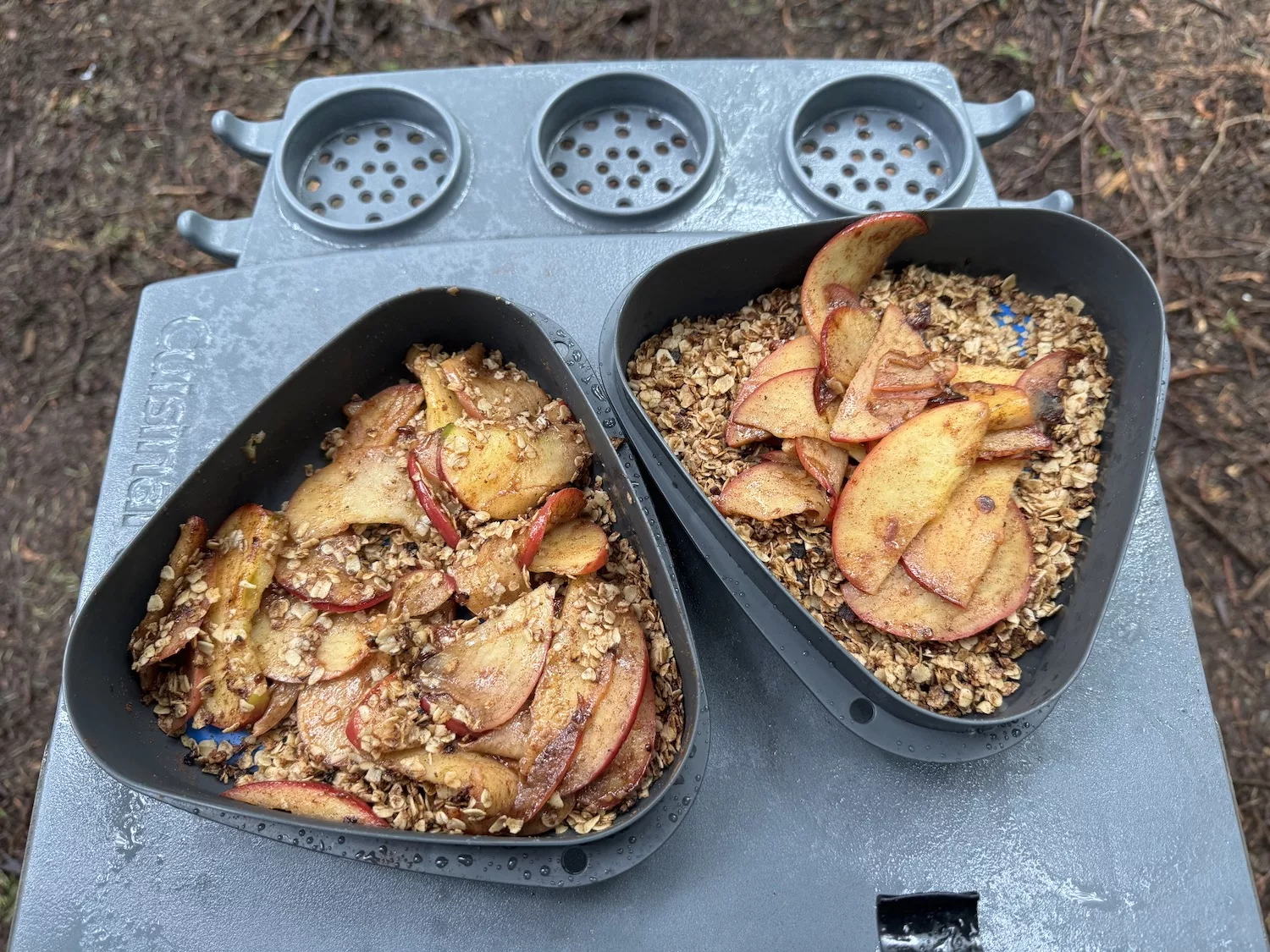 Easy Camp Cooking: The Best Campfire Apple Crisp
