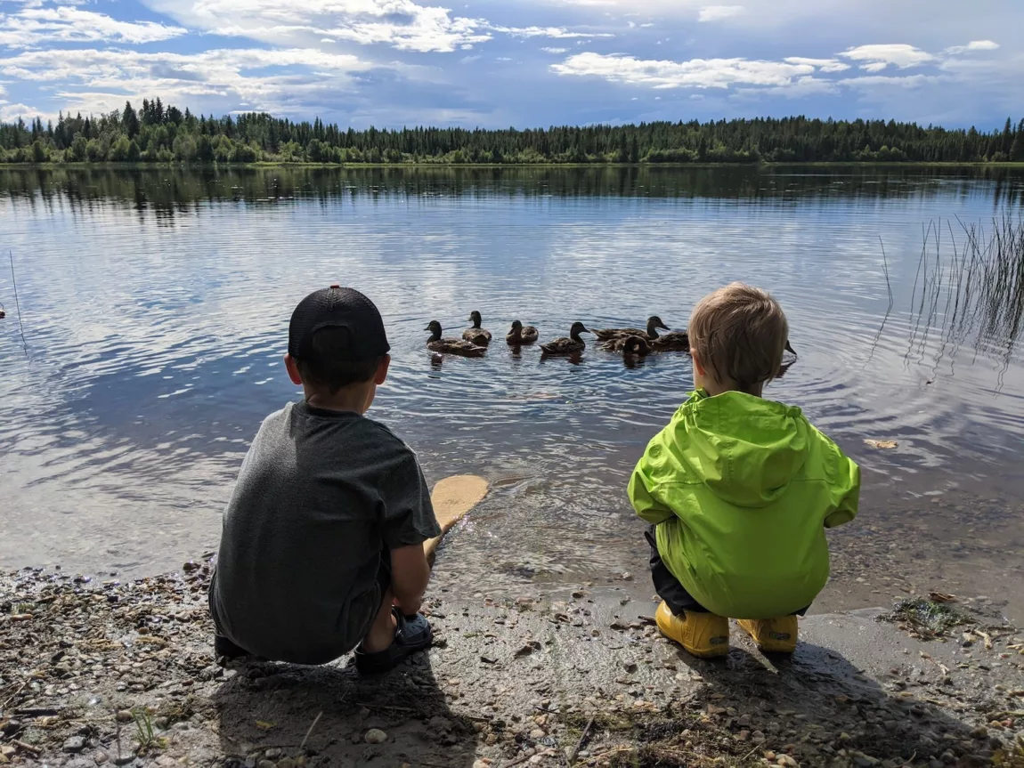 Camping trips with kids - two kids watch ducks swim by