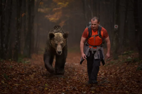 Man vs. bear header
