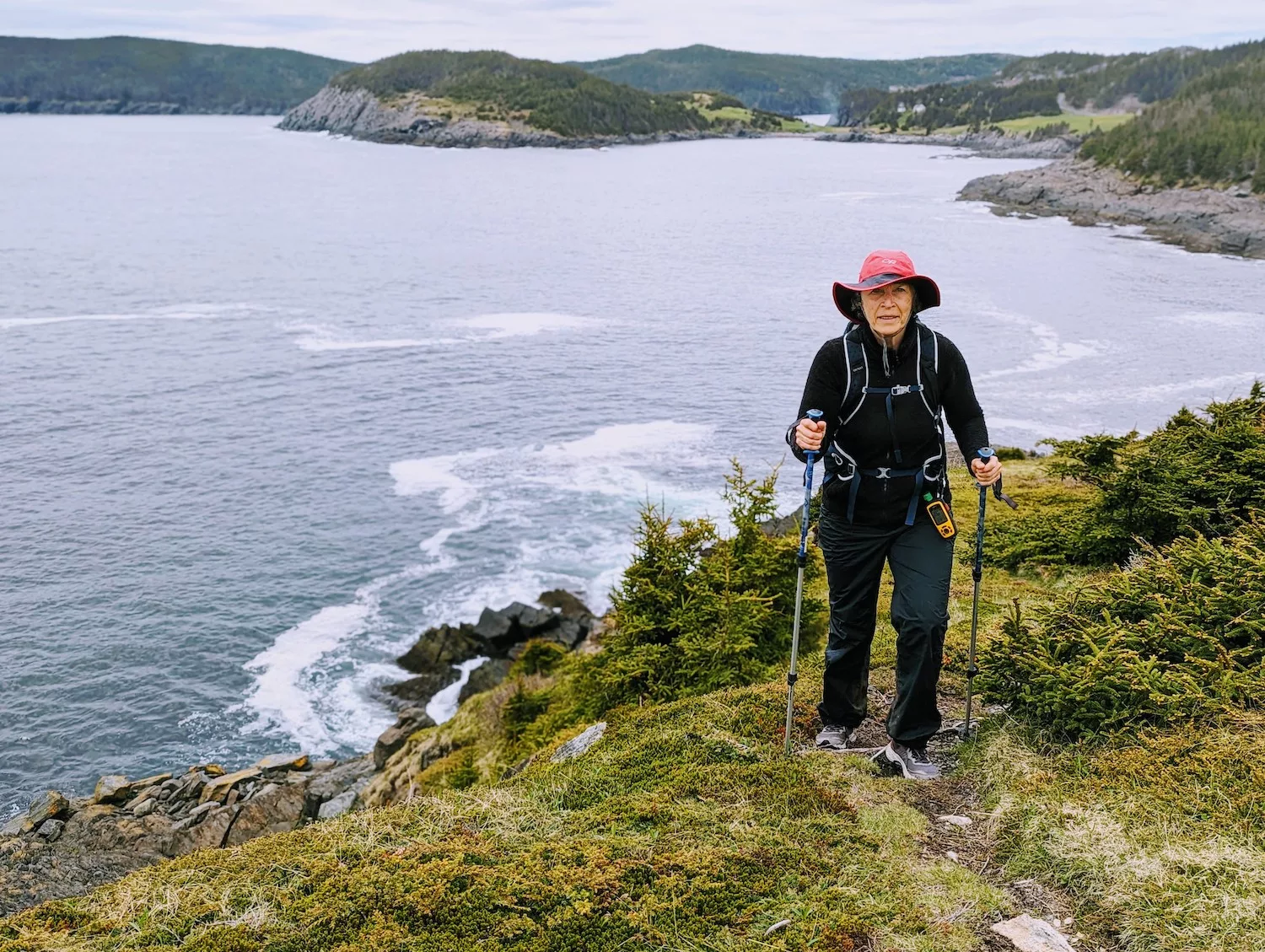 Dancing in the Woods on Canada s East Coast Trail Explore Magazine