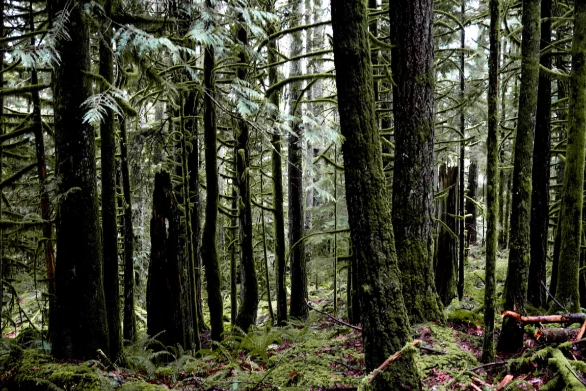 Explore Magazine Cultus Lake trail hike Explore Magazine Cultus Lake trail hike