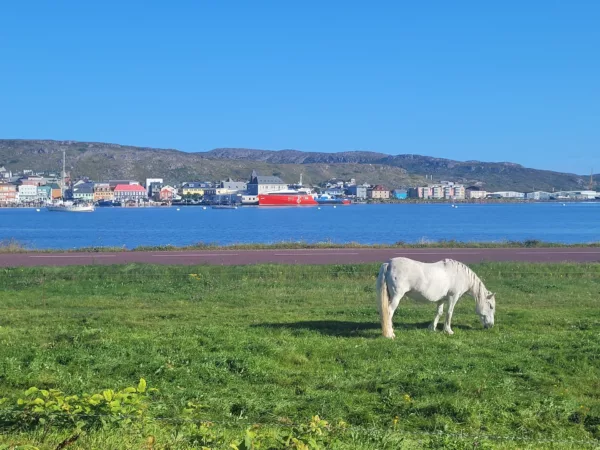 Saint Pierre