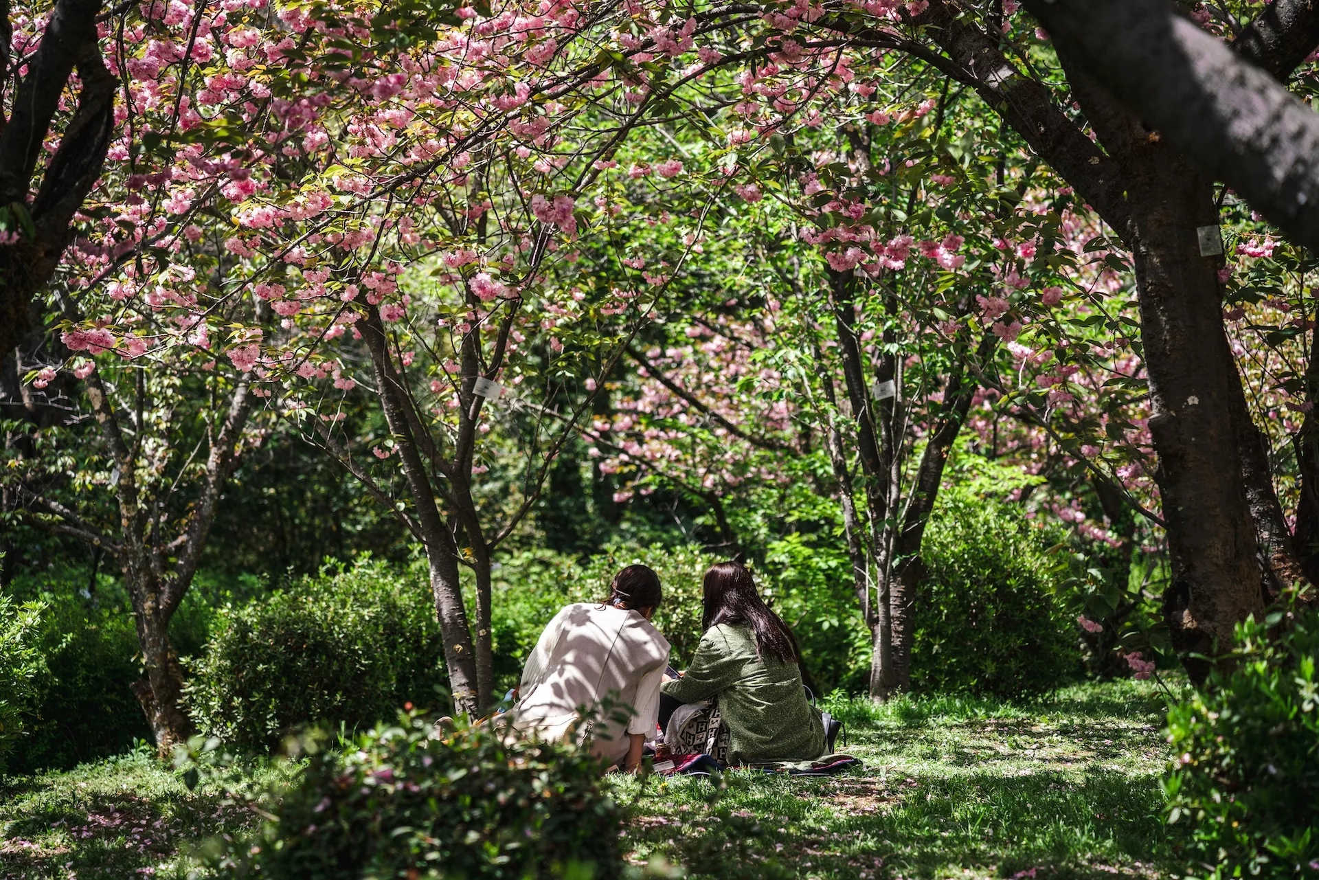15 Ideas for the Best Spring Dates for Outdoors Lovers