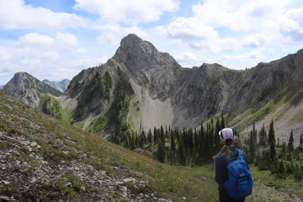 hike fernie trail mountain