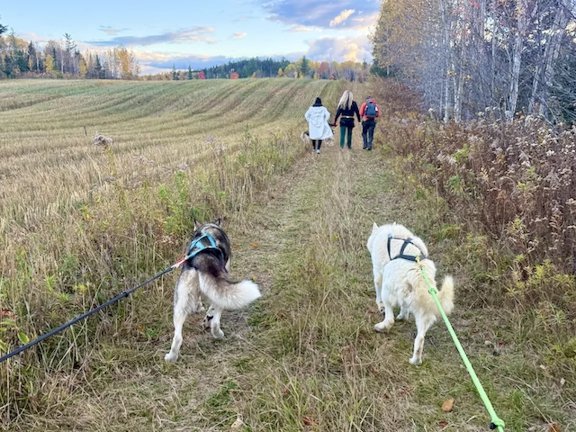 Explore Magazine dogs hiking cani Explore Magazine dogs hiking cani