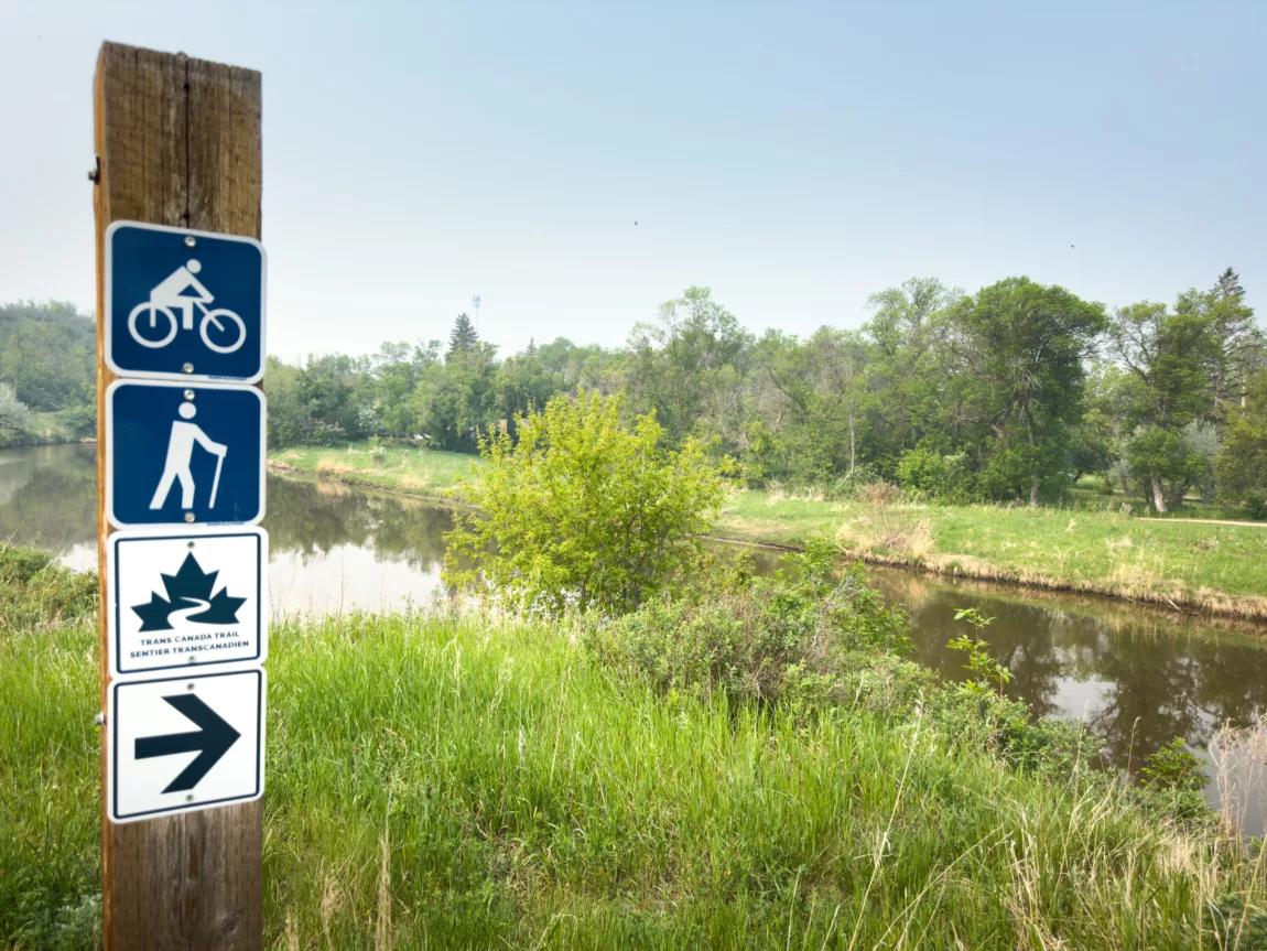Wooden post with blue trail signs for cycling and walking, plus a Trans-Canada Trail emblem, beside a grassy riverside.