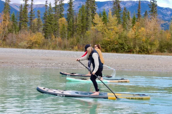 the wild tribe SUP review