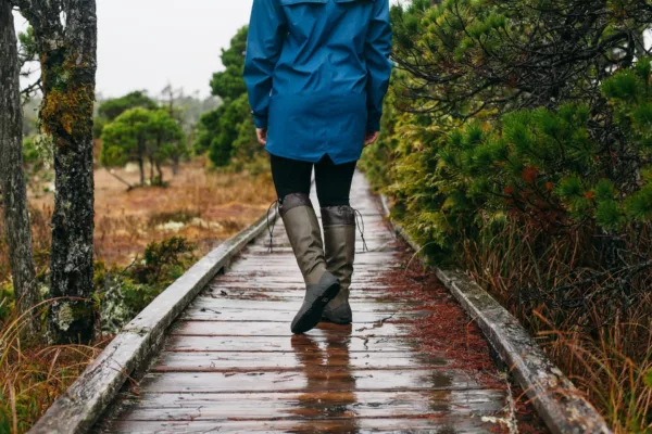 Person walking away on a wet wooden boardwalk, wearing a blue raincoat and tall boots, surrounded by green shrubs and trees in rain.