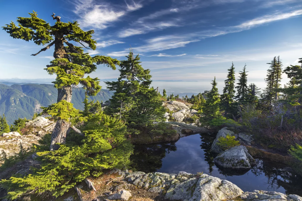 Alpine landscape with conifer trees on rocky ridge, a calm reflective pool, and distant blue mountains under a clear sky.
