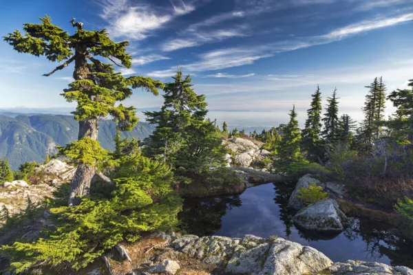 Alpine landscape with conifer trees on rocky ridge, a calm reflective pool, and distant blue mountains under a clear sky.