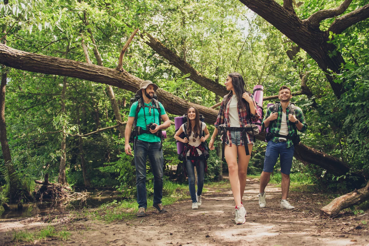 Four friends hike along a dirt forest trail with backpacks, smiling and chatting under a fallen tree.
