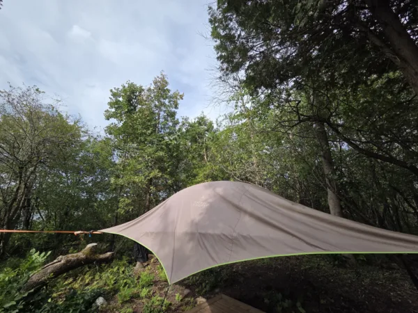 Beige dome tent pitched in a forest clearing with green trees and a blue sky above