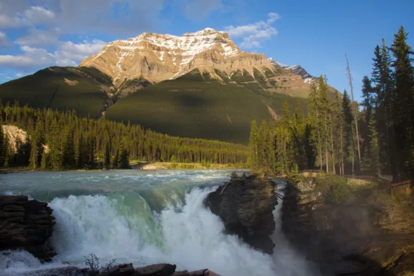 Snow-capped mountain peaks rise behind a dense evergreen forest and a rushing river under a clear blue sky, daytime scene.