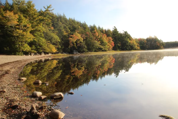 Autumn forest along a calm lake with a rocky pebble shore, the trees and sky reflected in the water.