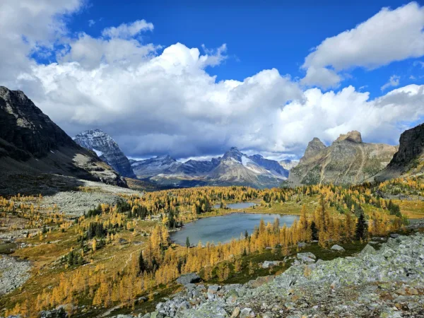 Mountain valley with a winding river, golden autumn trees, and rugged rocky slopes under a bright blue sky with clouds near snow-capped peaks","Autumn alpine scene: yellow-pine forest in the valley, a calm river, and jagged mountains beneath a dramatic, partly cloudy sky","Snow-dusted mountains loom over a valley of golden trees and a winding lake, rocky foreground and a clear blue sky","Alpine landscape featuring a valley lake, colorful fall foliage, steep rocky cliffs, and large white clouds in a blue sky","Wide mountain panorama: distant snow-covered peaks, yellow-orange trees in the foreground, rocky terrain, and a blue sky with fluffy clouds