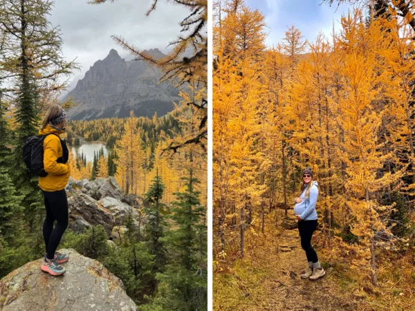 Woman in a yellow jacket stands on rocky terrain with a mountain range and golden autumn trees in the background.
