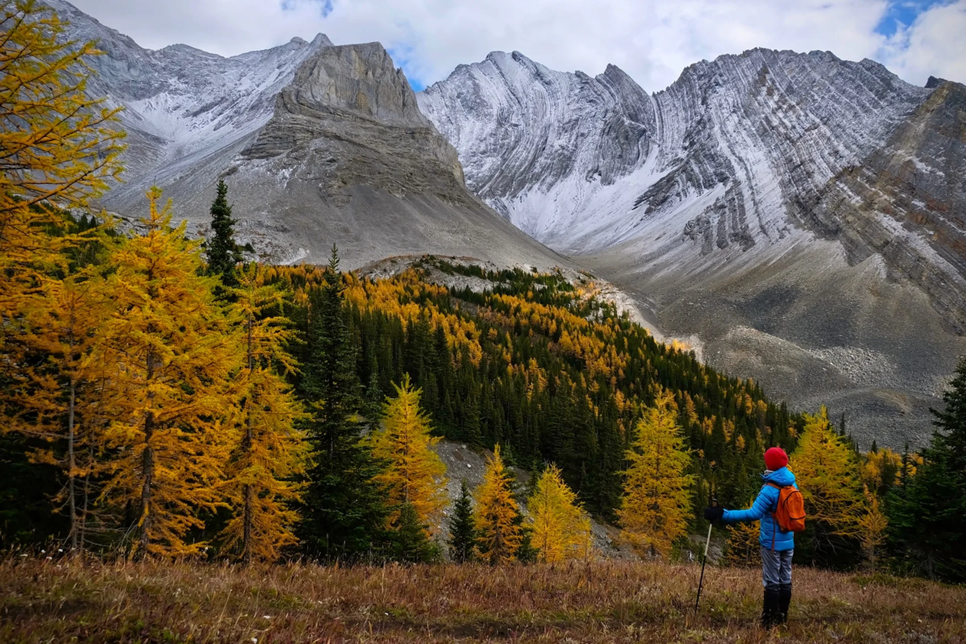 Woman among golden larches in mountains Explore Magazine Hiker in a blue jacket and orange backpack stands among autumn trees at the base of snow-dusted mountains.